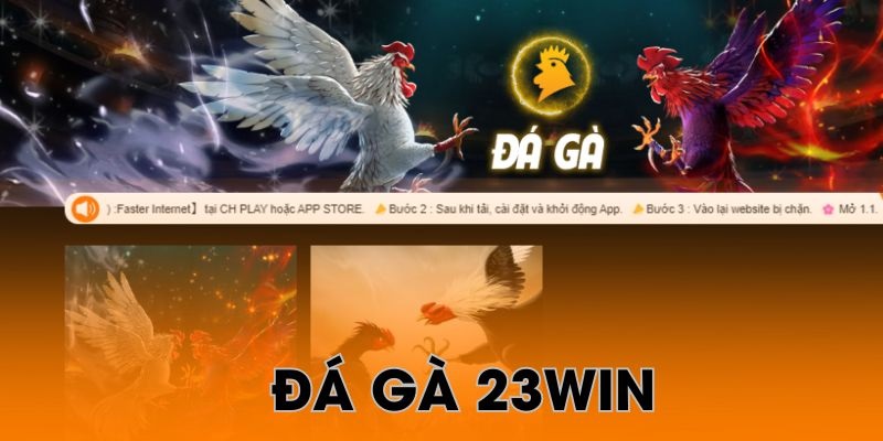 Tìm hiểu khái niệm đá gà 23Win là gì?